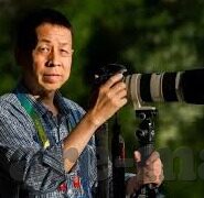 足球現場比分-足球现场比分，热血与激情的实时交响曲